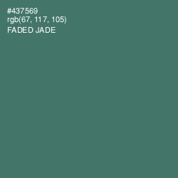 #437569 - Faded Jade Color Image